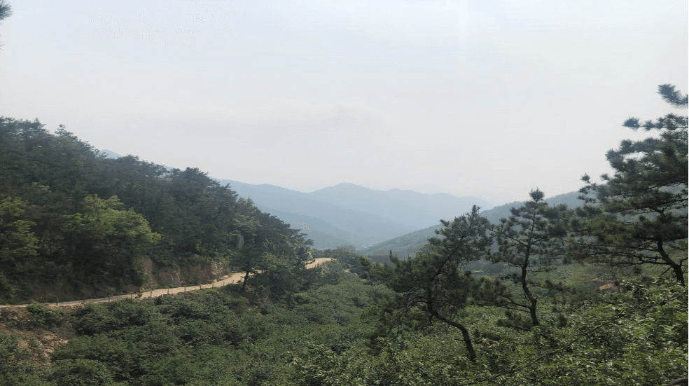 沿途風光