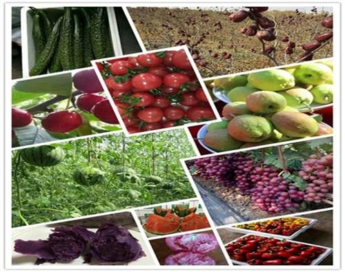 信息列表 农产品 农用品                  富硒水果哪家好?